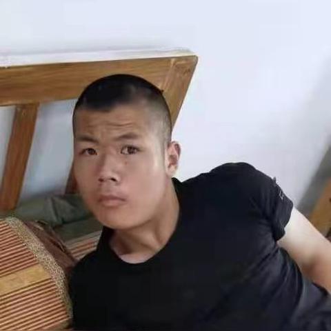 全球智力残疾状况差异及其影响因素探讨,遗传、环境与教育的作用分析