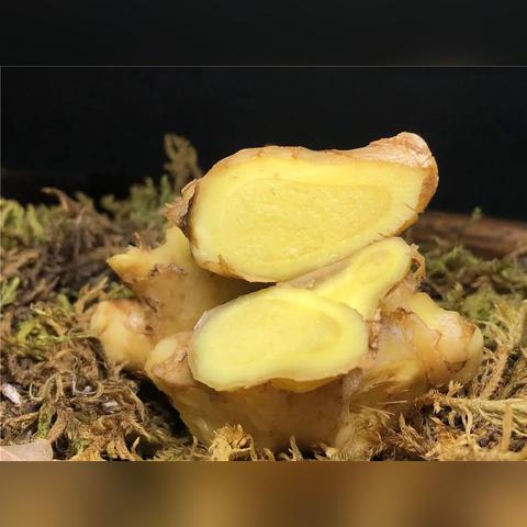 今日黄姜最新价格,黄姜价格趋势