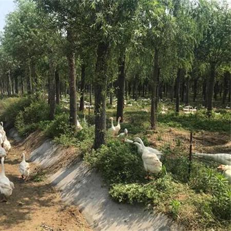 安徽助贫达人名单公布,扶贫英雄助力脱贫事业