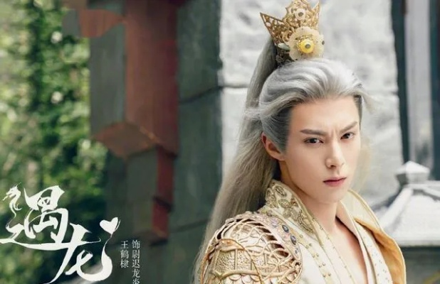 遇龙官方下载跟驰冥校服版本，专业级工具的创新力量与定制魅力